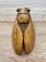 Cicada Wall Decor