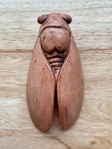 Cicada Wall Decor