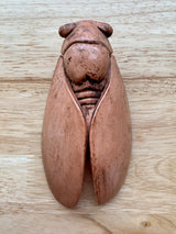 Ma Belle Provence Wall Decor Terracotta Cicada Cicada Wall Decor