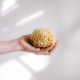 Ma Belle Provence Sponge Mediterranean Sea Sponge