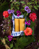 Apis Cera Candle Ambroise Beeswax Pillar Candles
