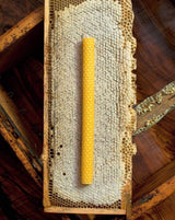 Apis Cera Candle Lucienne Hand-rolled Beeswax Candles