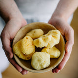 Fine-Pore Sea Sponge
