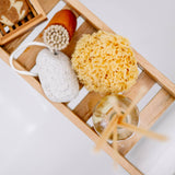 Mediterranean Sea Sponge