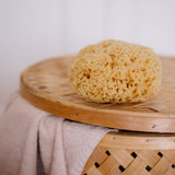 Ma Belle Provence Sponge Mediterranean Sea Sponge
