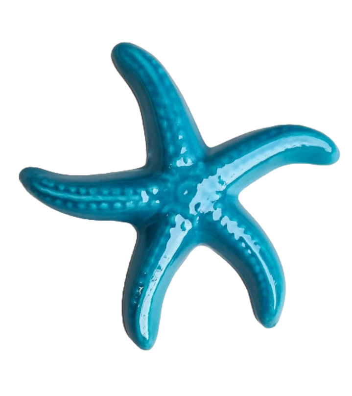 Turquoise Ceramic Starfish