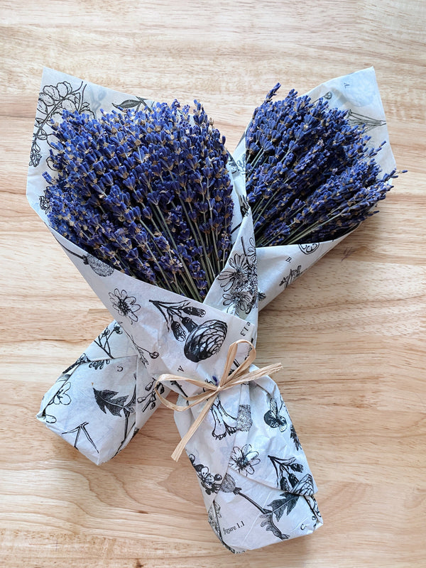 Dried lavender bouquet bundle from Provence wrapped in botanical tissue paper with raffia bow