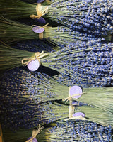 Provence Organic Lavender Bouquet