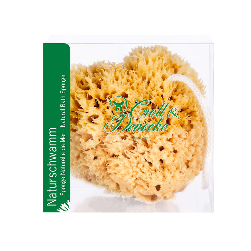 Mediterranean Sea Sponge with String