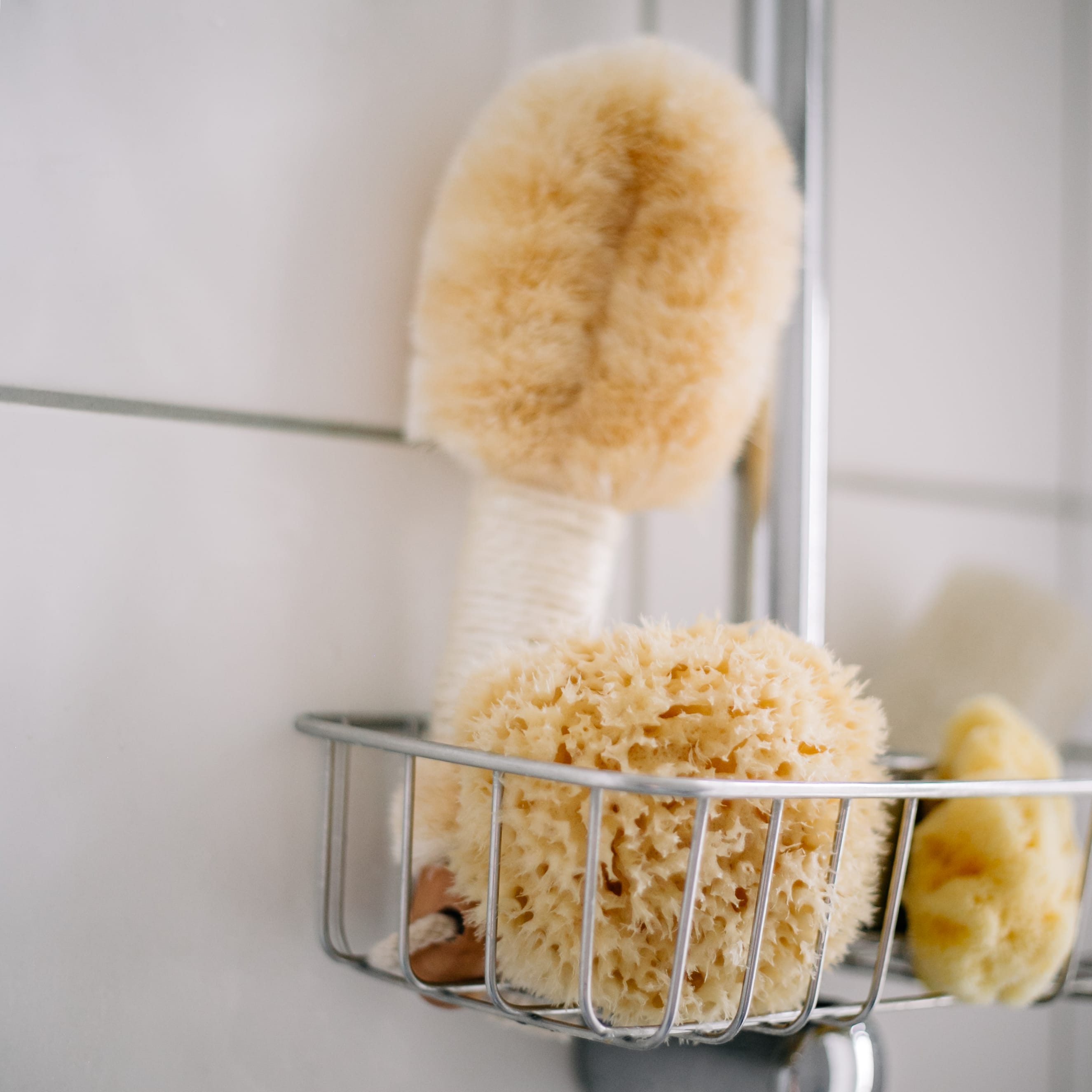 Sponge String Mediterranean Sea Sponge with String – Ma Belle Provence